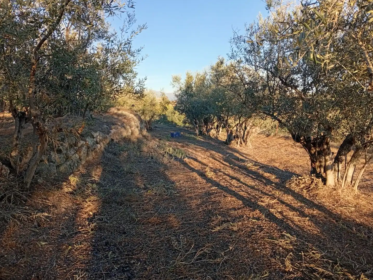 Terreni e lotti in vendita a Villanueva de la Vera, imagen 7