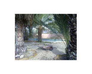 Jardí de Casa o xalet en venda en Vera amb Terrassa, Piscina i Rentadora