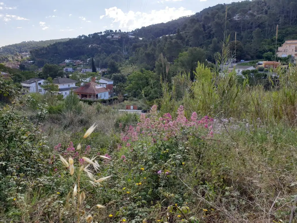 Rustikales Grundstück zum Verkauf in Ps Sant Lluis, imagen 13