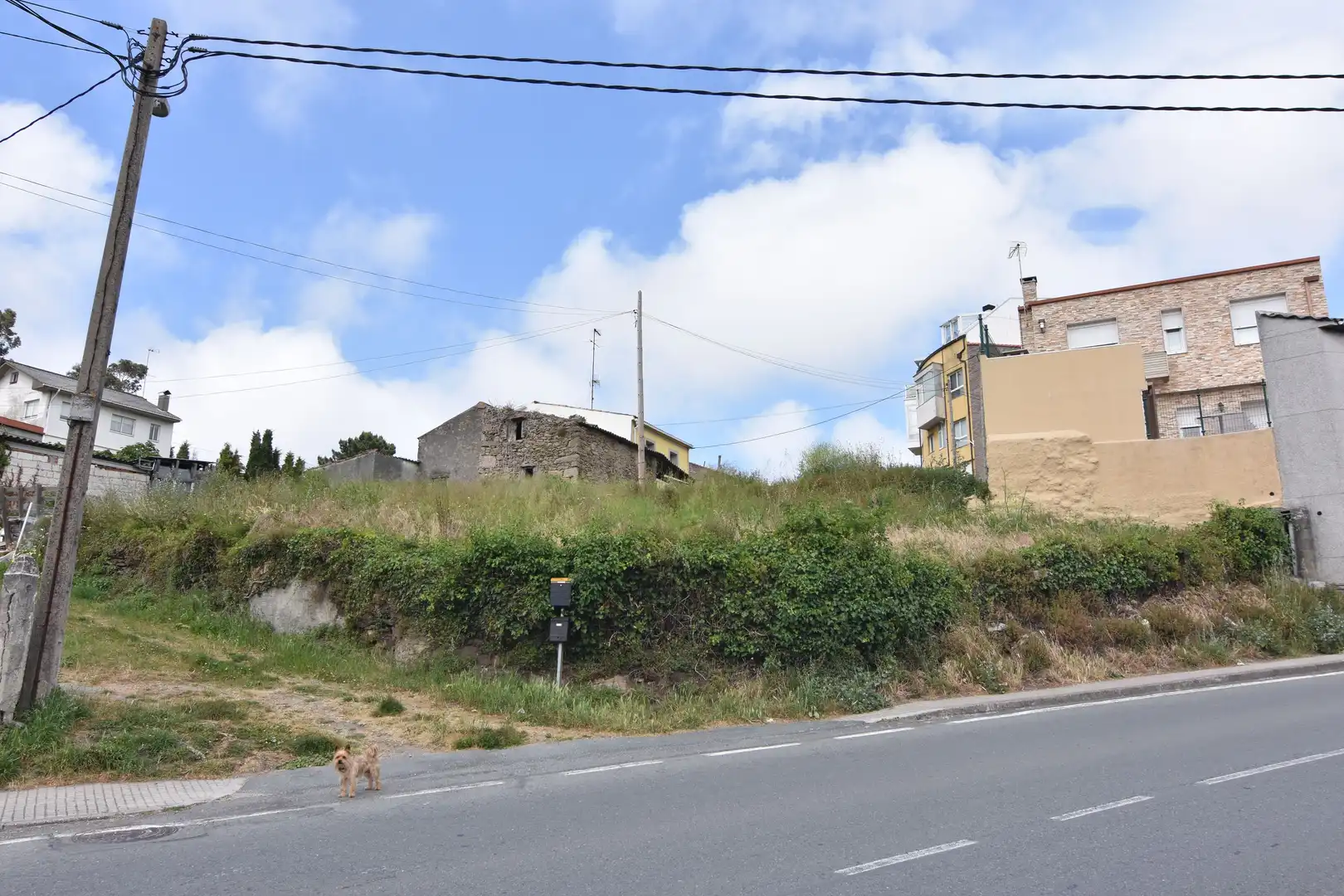 Terreni e lotti in vendita a Someso - Matogrande, imagen 2