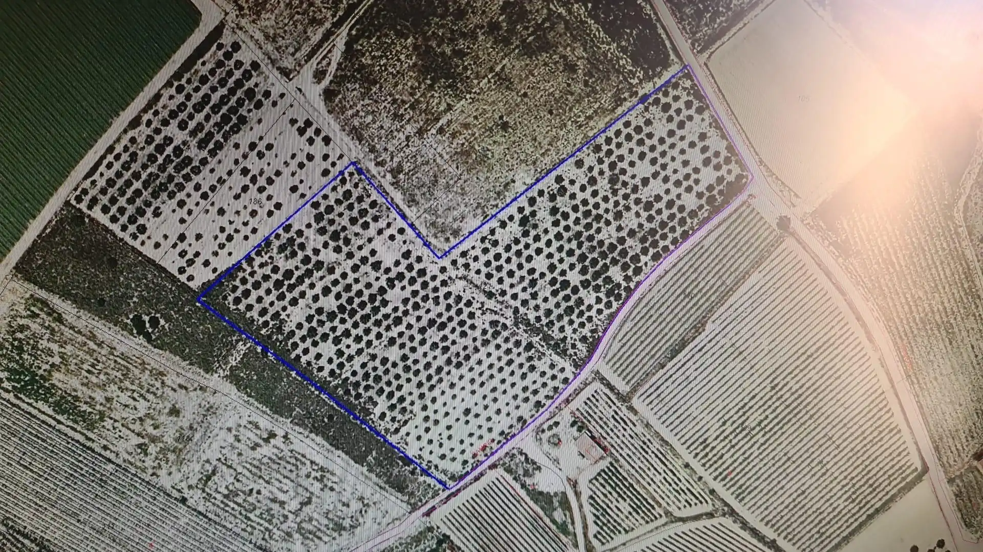Finca rústica en venda en Alicante / Alacant