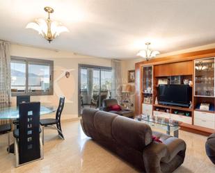 Living room of Flat for sale in Fuengirola  with Air Conditioner, Private garden and Terrace