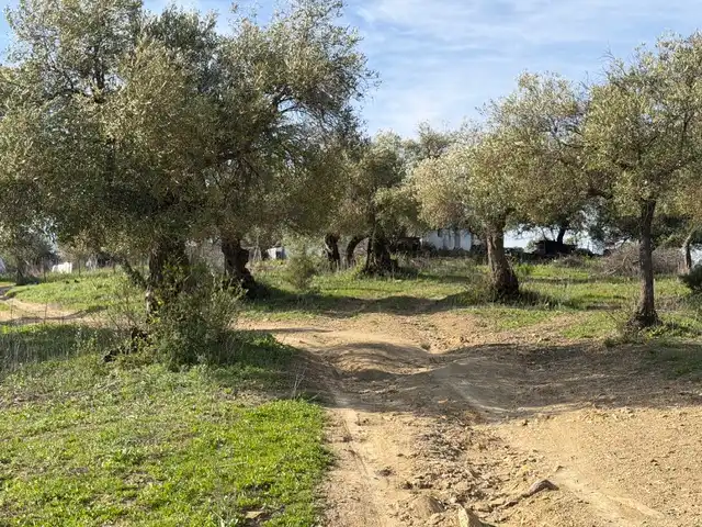 Land for sale in Ubrique