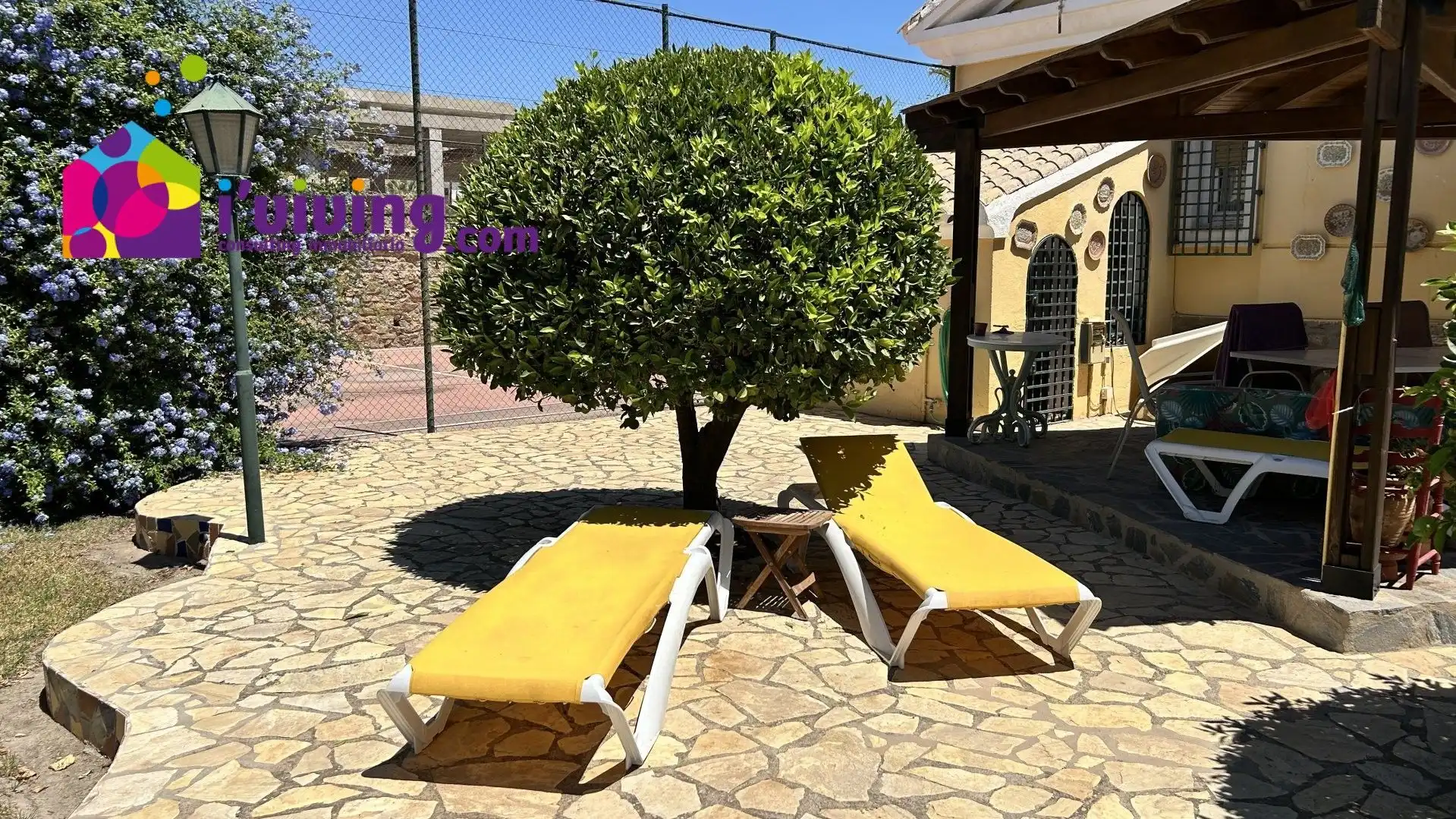 Garden of Houses for rent in Cantoria