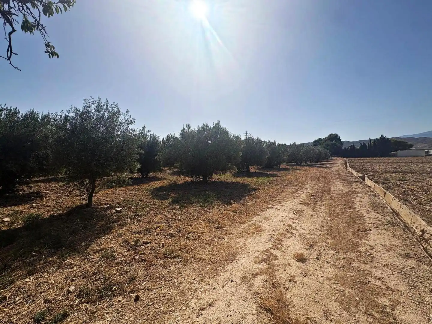 Terreno en venta en Totana
