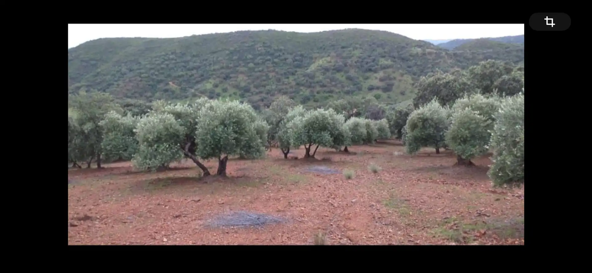 Finca rústica en venta en La Puebla de los Infantes con Aire acondicionado, Calefacción y Jardín privado