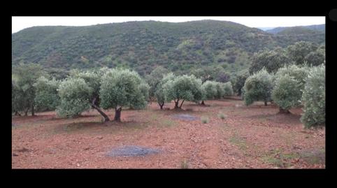 Photo 5 of Country house for sale in La Puebla de los Infantes, Sevilla