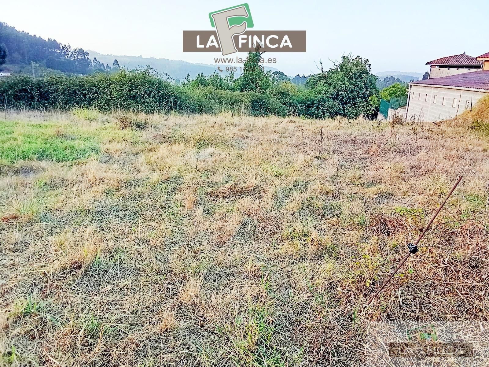 Finca rústica en venta en Pravia