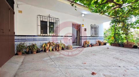 Foto 4 de Finca rústica en venda a Diseminado Diseminados, 480d, Comares, Málaga