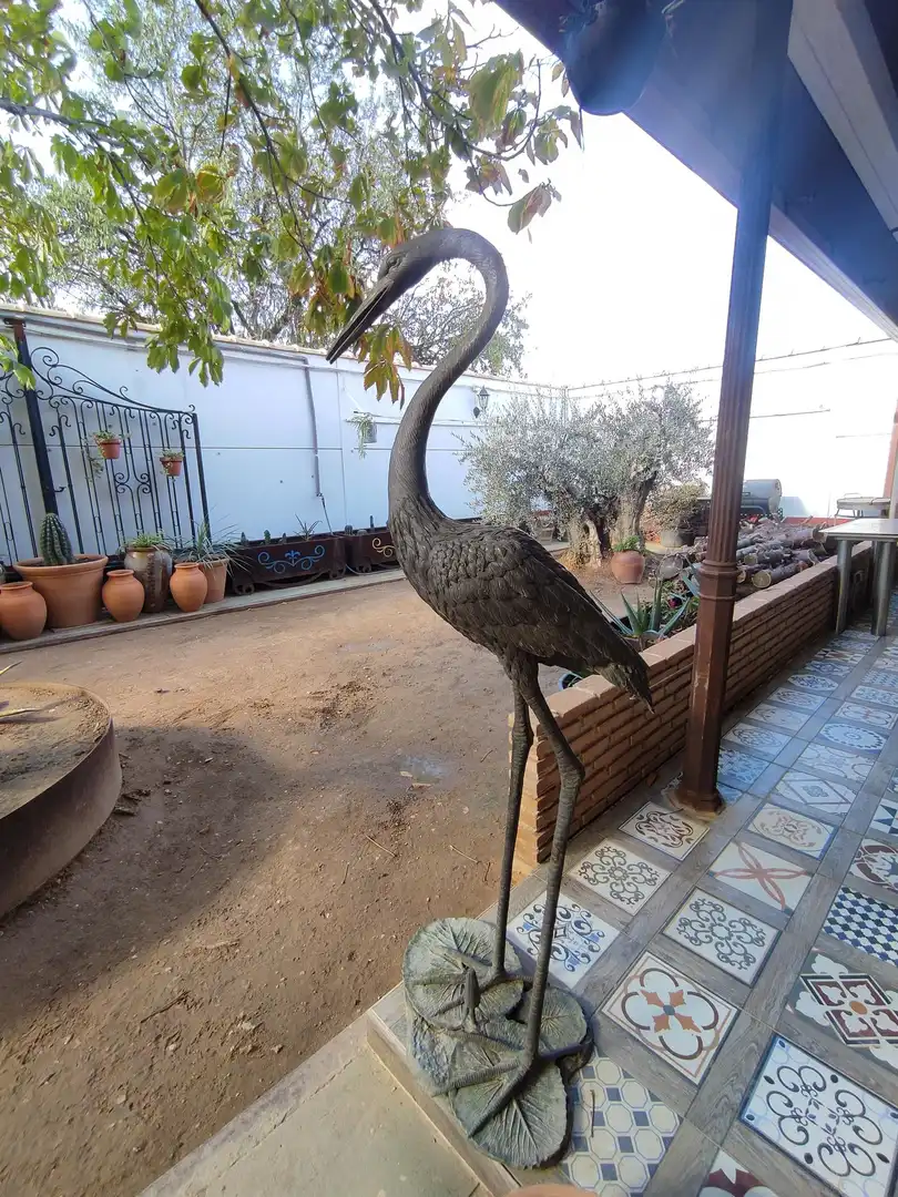 Jardín de Casa o chalet en venta en Pedro Muñoz con Aire acondicionado, Calefacción y Jardín privado