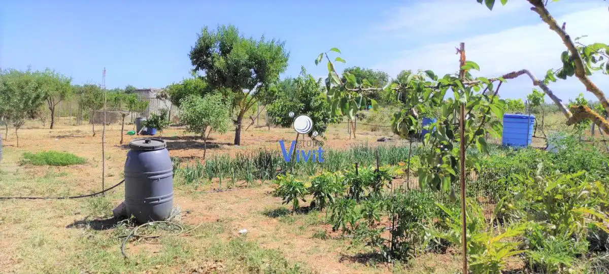 Terrenos y solares en venta en Pedanías Sur, imagen 6