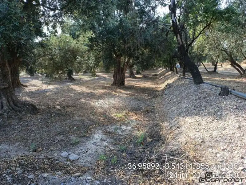 Terreno rustico in vendita a Calle poligono 2, parcela 207,208, Tomillar, Lecrín 0, imagen 11
