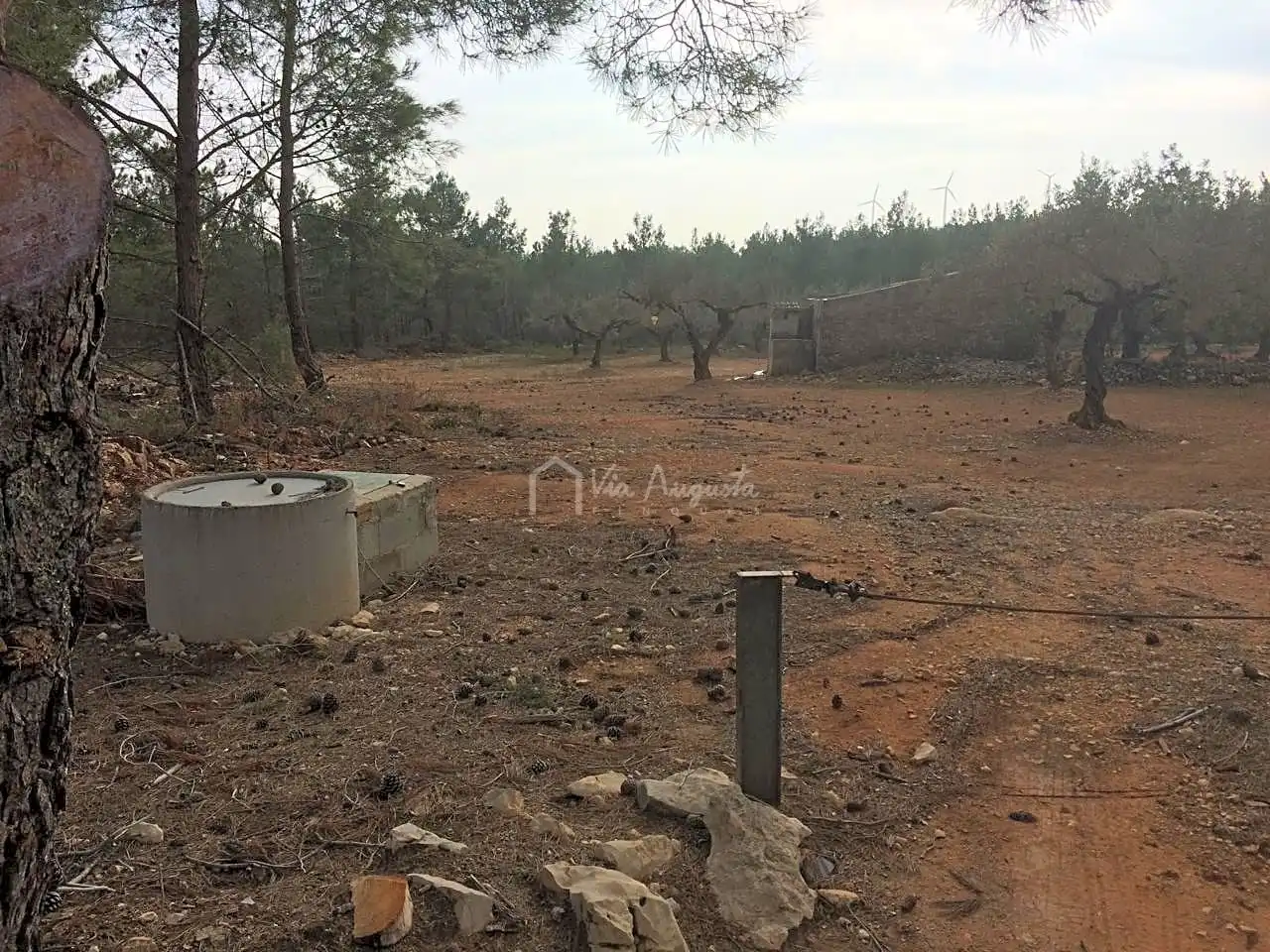 Terreno rustico in vendita a Burga, imagen 17