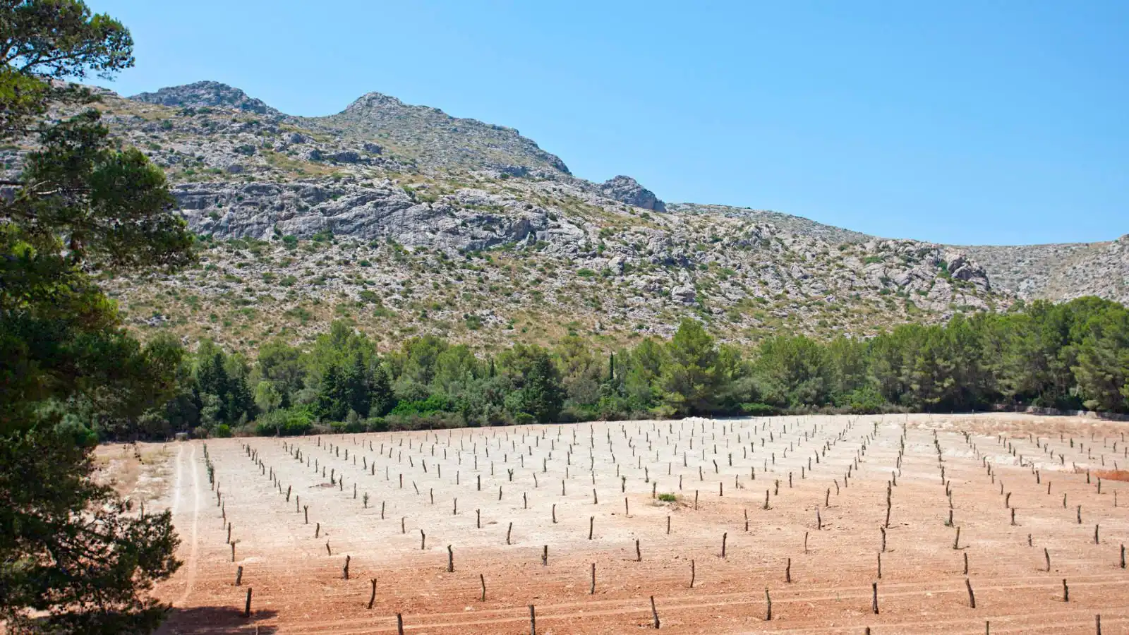 Finca rústica en venta en Pollença con Aire acondicionado, Calefacción y Jardín privado