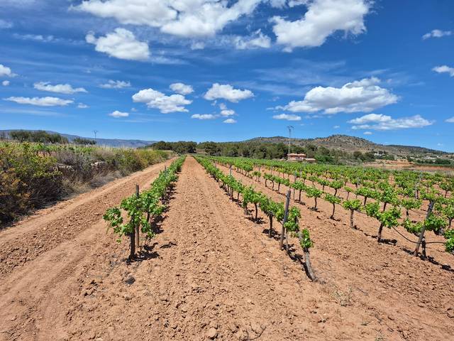 Terreno residencial en Venta en El Pinós / Pinoso