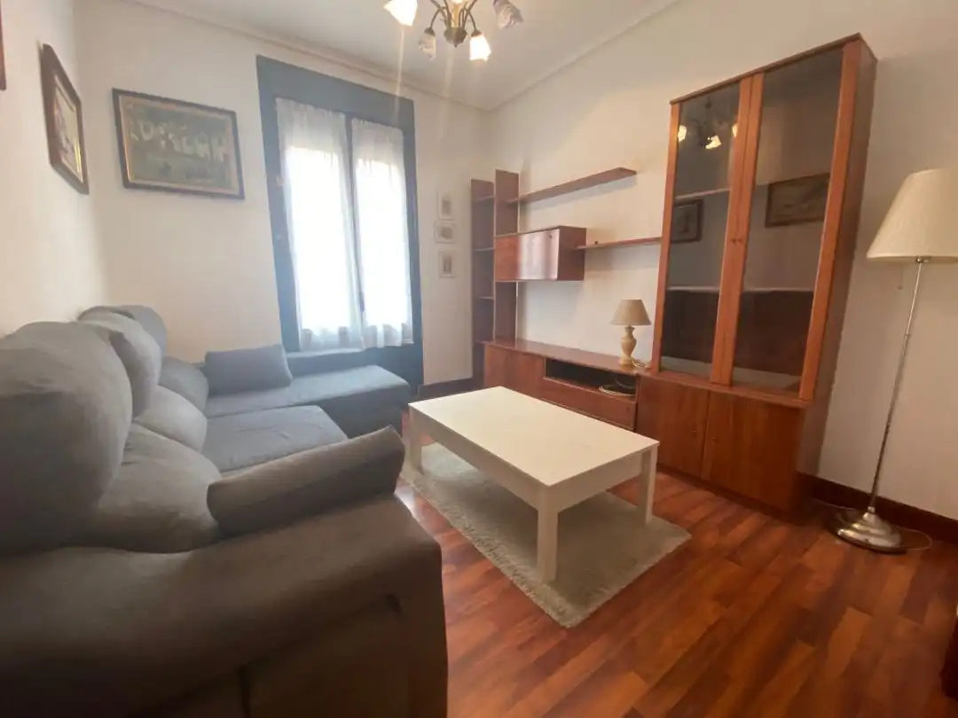 Sala d'estar de Pis de lloguer en Bilbao  amb Calefacció i Balcó