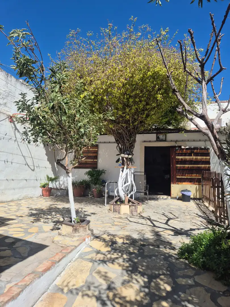 Jardín de Casa o chalet en venta en Utrera