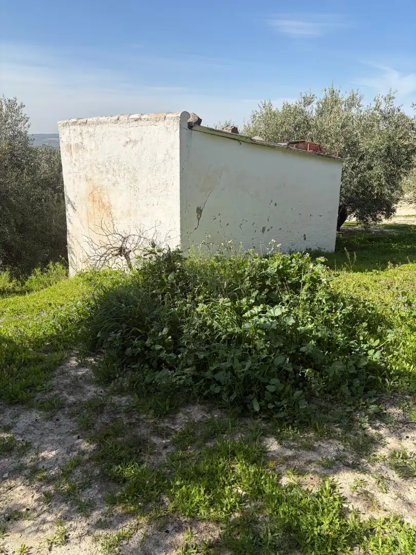 Rural land for sale in Poleares, imagen 5