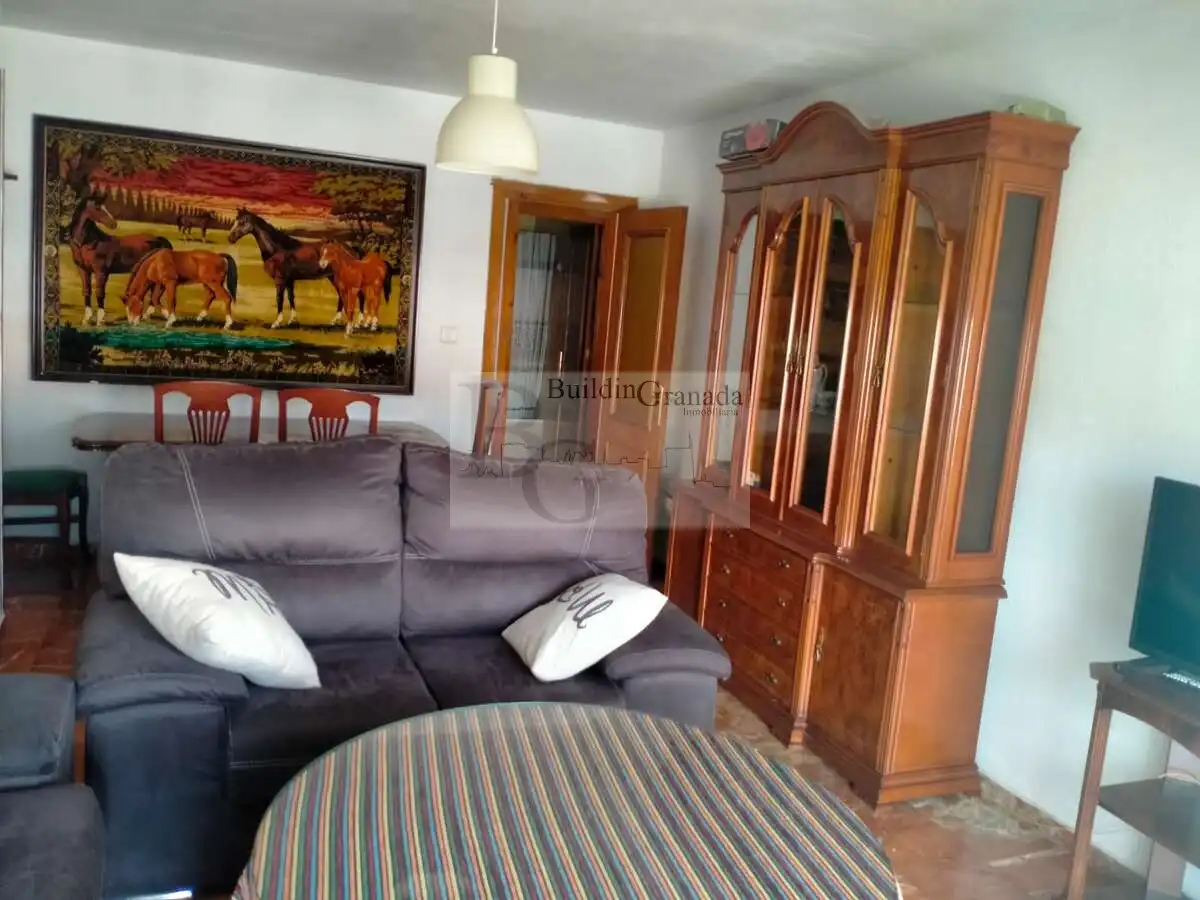 Wohnzimmer von Wohnung zur Miete in Granada mit Terrasse, Möbliert und Gemeinschaftspool
