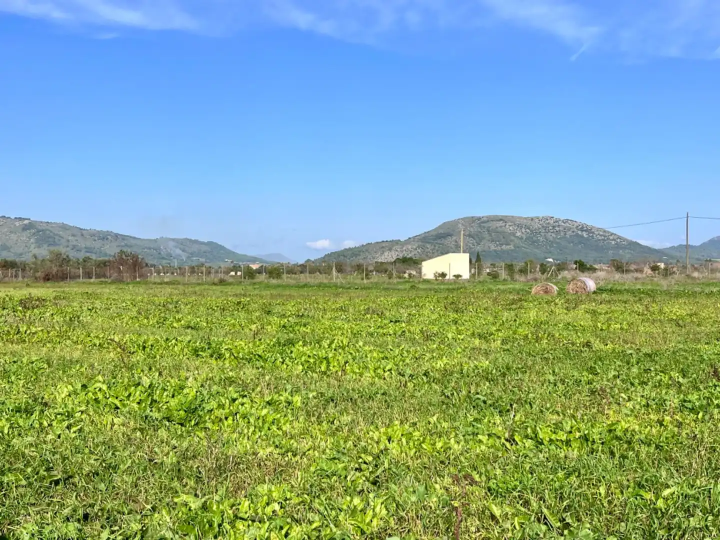 Finca rústica en venta en Sa Pobla