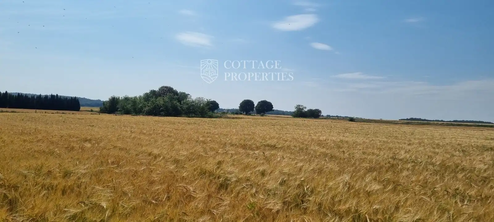 Finca rústica en venta en Serinyà