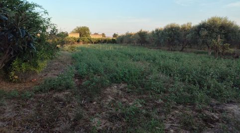 Foto 3 de Casa o xalet en venda a Urbanitzacions, Tortosa