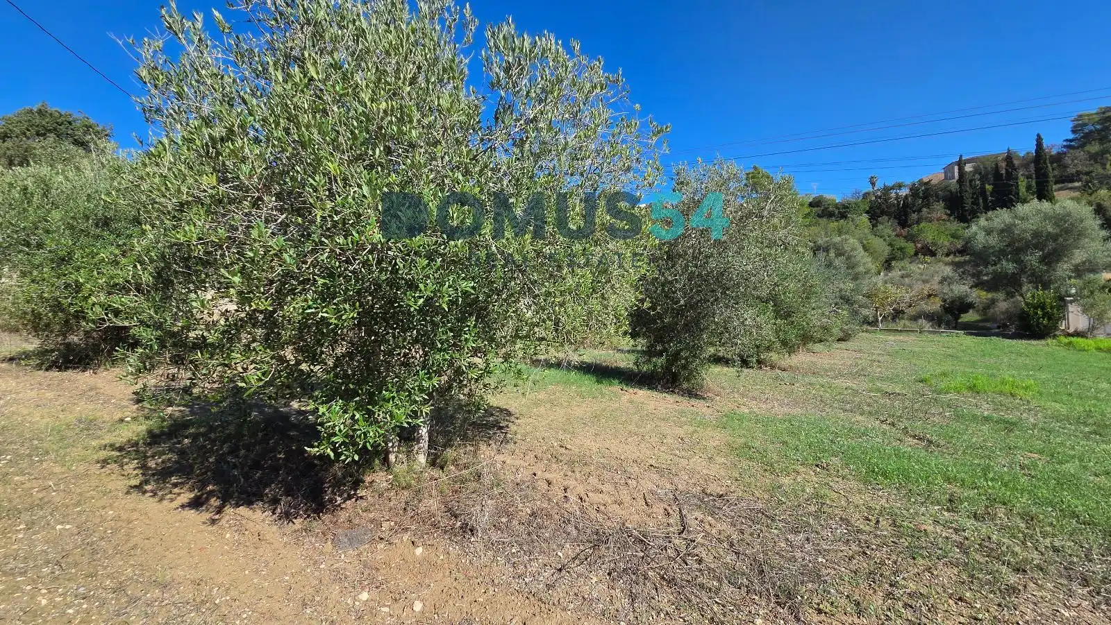 Terreno en venta en Campanet