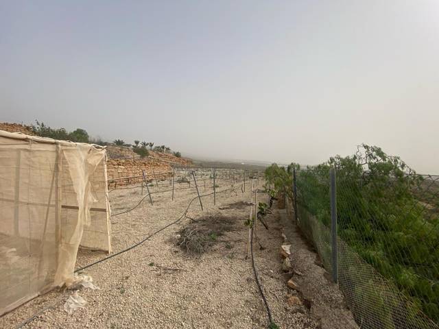 Terreno residencial en Venta en Calle los Valos en El Desierto