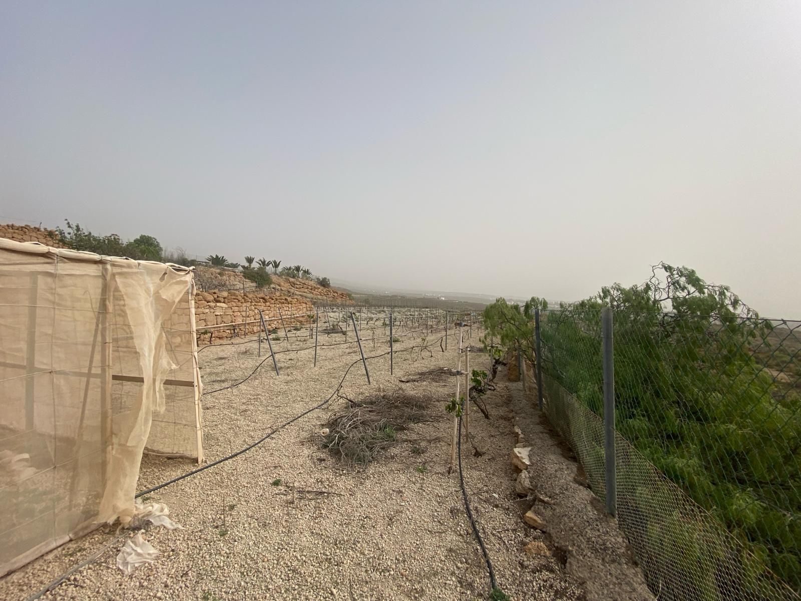 Residential for sale in Granadilla de Abona