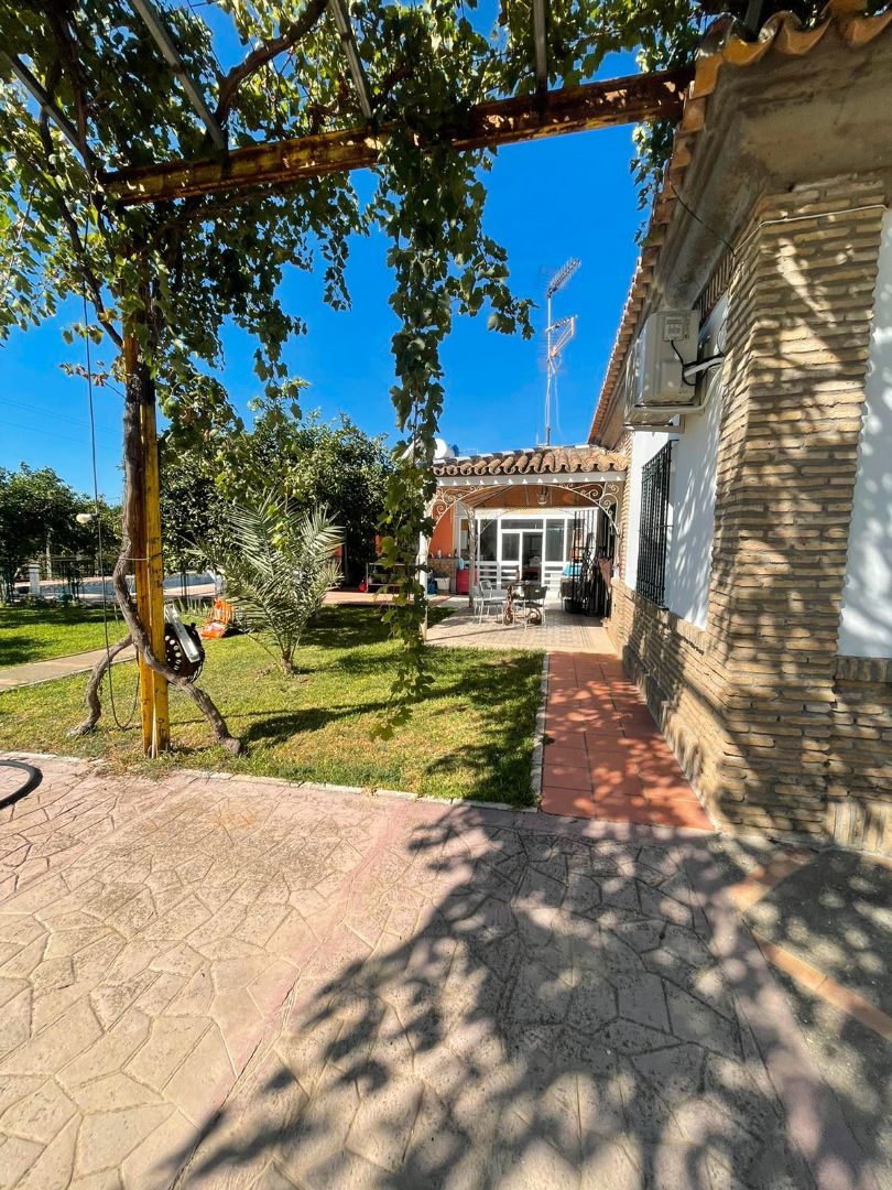 Vista exterior de Casa o xalet en venda en Villanueva del Ariscal amb Aire condicionat, Calefacció i Jardí privat