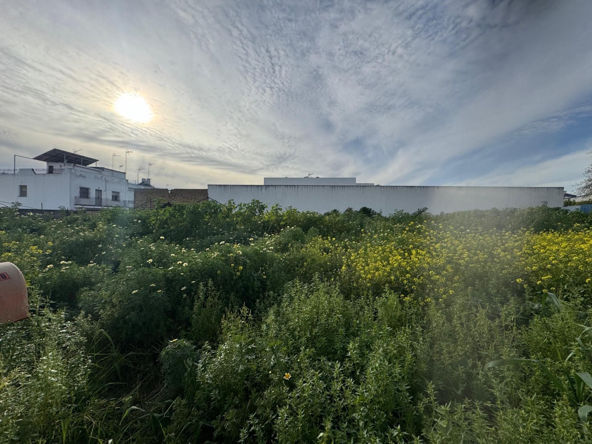 Residential for sale in Mairena del Aljarafe