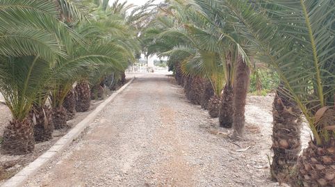 Foto 4 de Casa o xalet en venda a Carretera Virgen del Camino, 5, Granja de Rocamora, Alicante