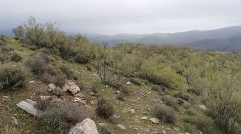 Foto 5 de Residencial en venda a Cortijo la Cara, Ugíjar, Granada