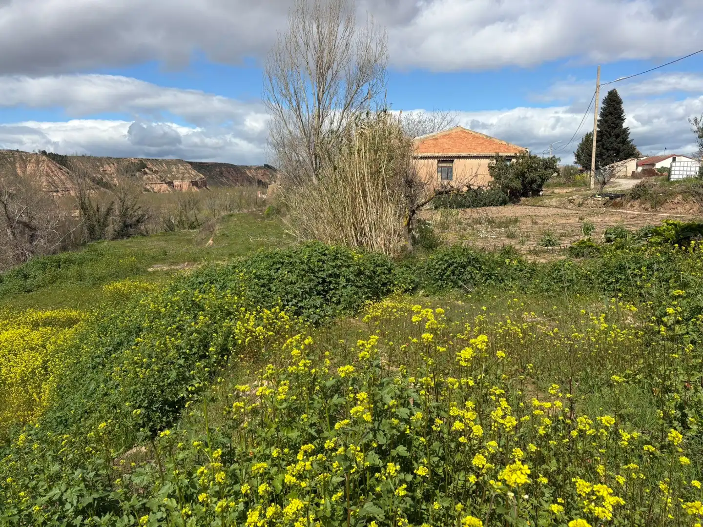 Terreny rústic en venda a Murillo de Río Leza