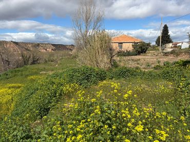 Rustikales Grundstück zum Verkauf in Murillo de Río Leza