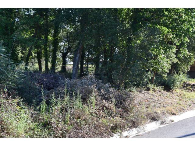 Terreno residencial en Venta en PUIG DE LES CADIRETES en Caldes de Malavella