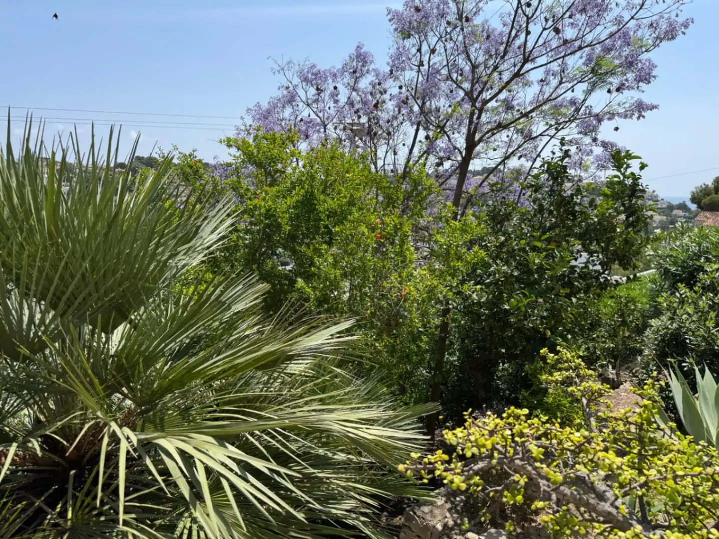 Chalet con jardín en venta en Cala Advocat - Baladrar, imagen 42