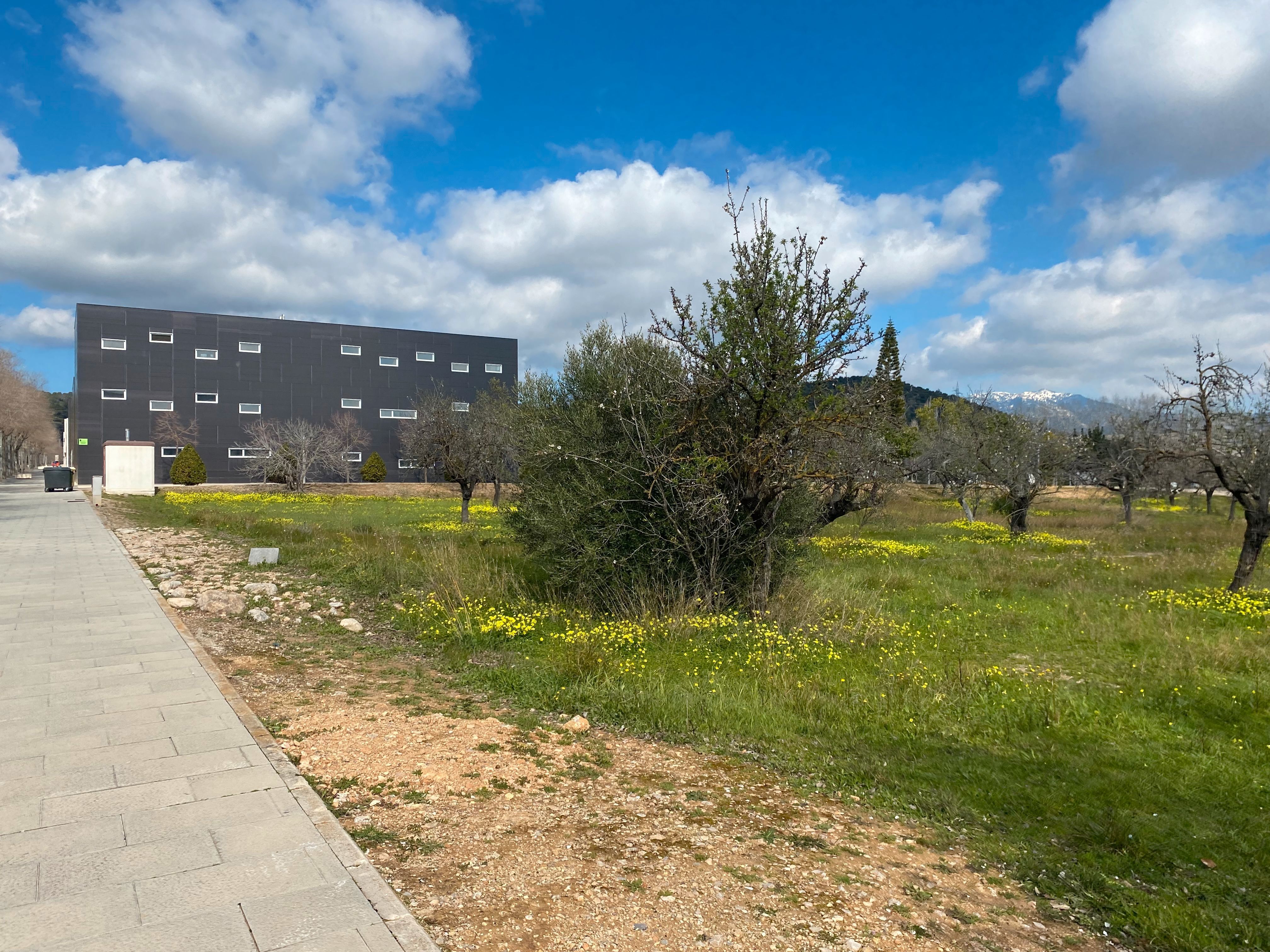 Terreny industrial en venda en  Palma de Mallorca