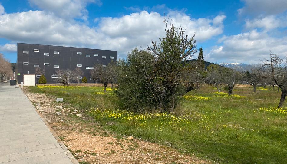 Photo 1 of Industrial land for sale in N/a, 1, Establiments, Illes Balears