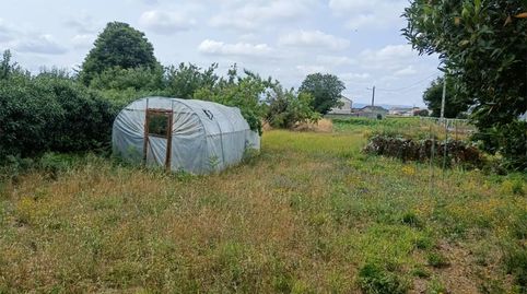 Foto 4 de Finca rústica en venta en Piñeira Seca, 56, Xinzo de Limia, Ourense