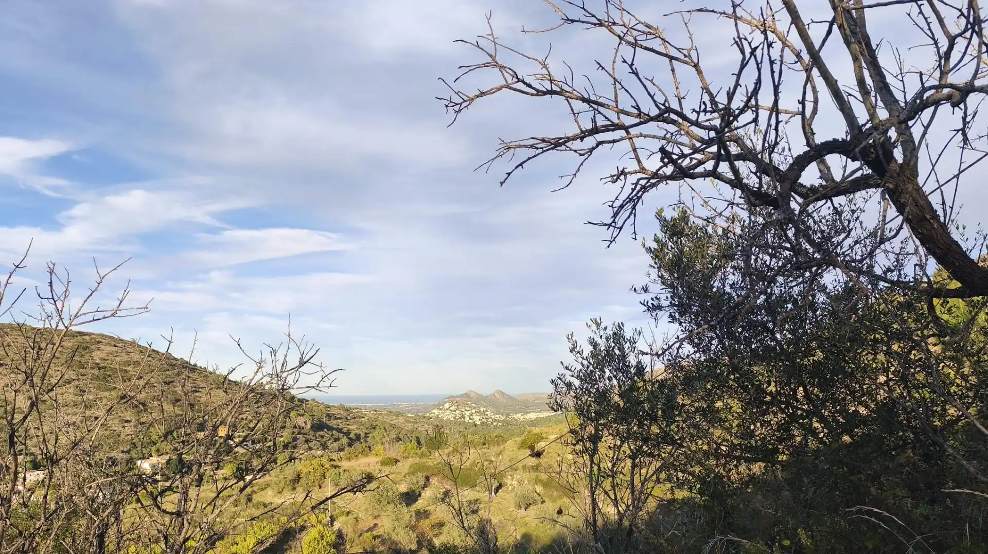 Terreny residencial en venda a Alcalalí, imagen 6