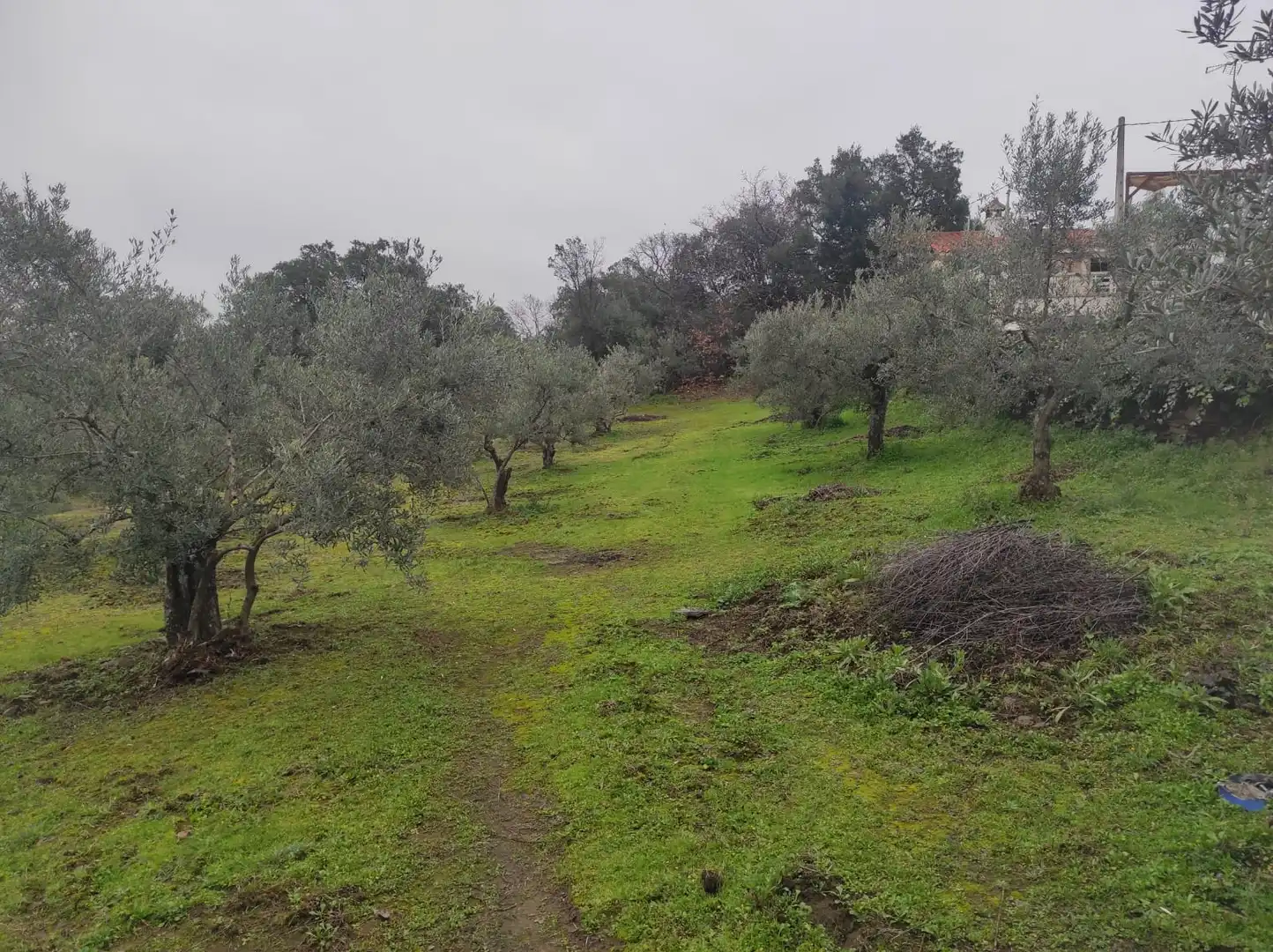 Terreno en venta en Plasencia