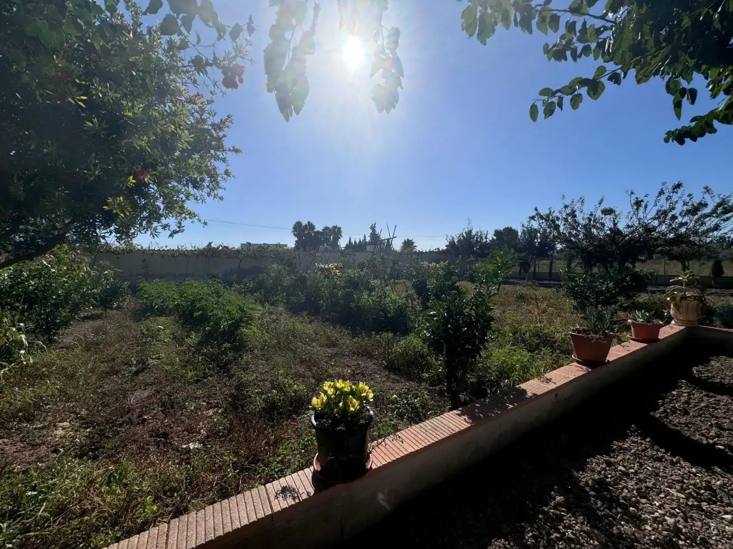Villa avec piscine à vendre à San Fulgencio, imagen 15
