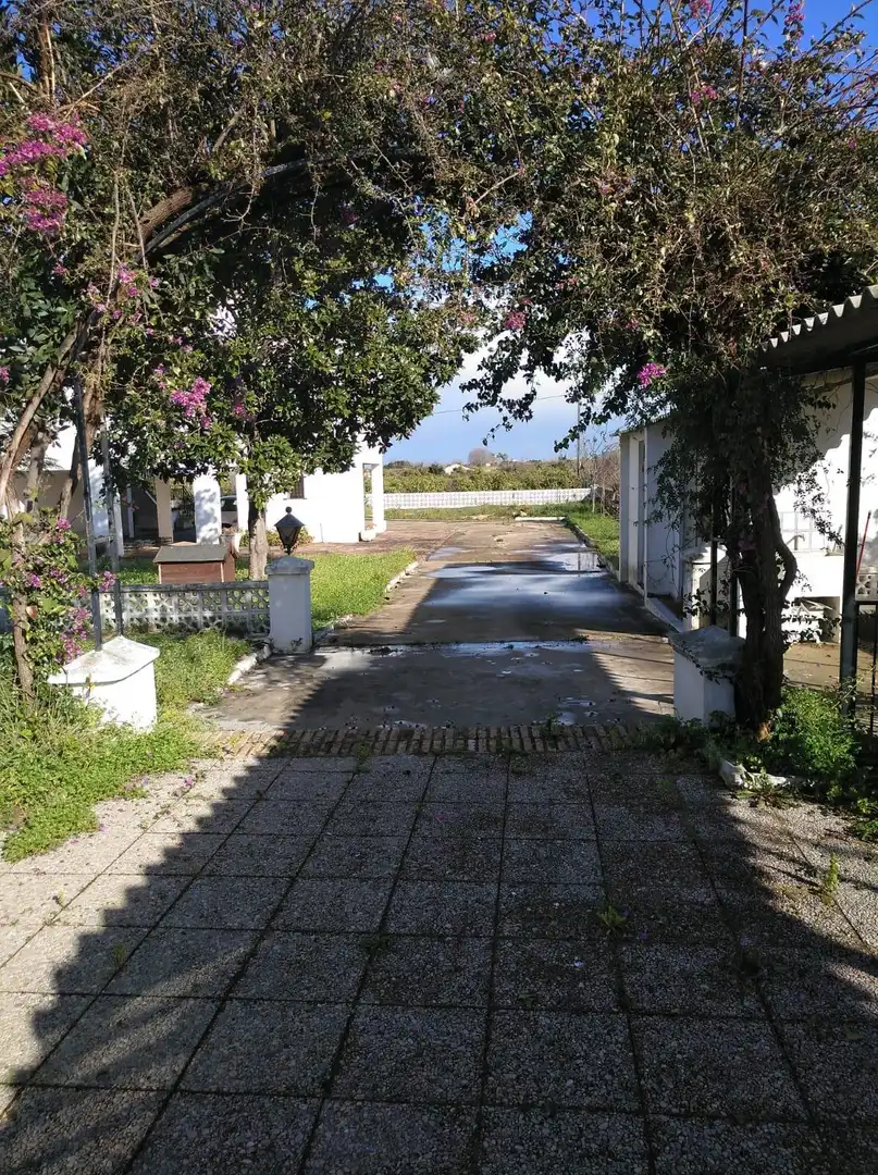 Villa con piscina in vendita a Urbanitzacions i Pedanies Nord, imagen 19