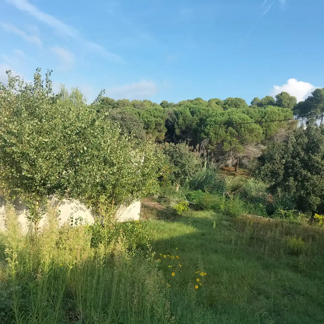 Residential land for sale in Carretera Sagrera 28, imagen 2