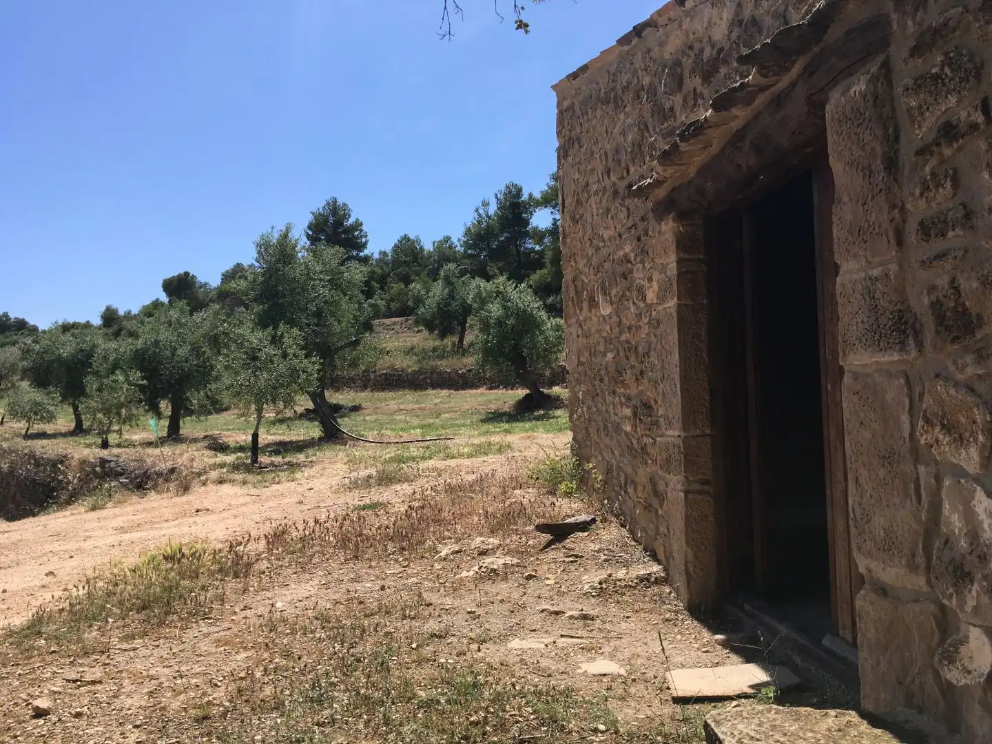 Rural land for sale in Carrer de Sant Pere 2, imagen 2