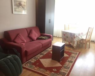 Sala d'estar de Pis en venda en Oviedo  amb Balcó