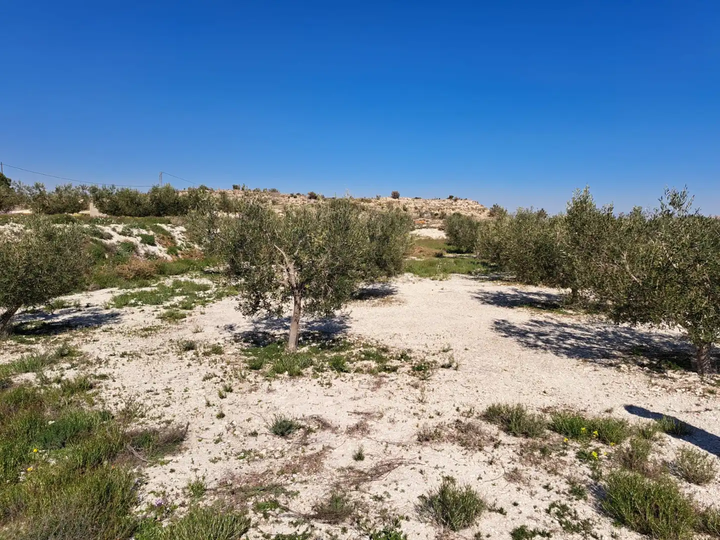 Terreno rustico in vendita a Plaça Industrial Garganta, imagen 4