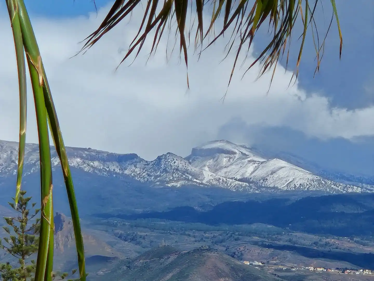 Exterior view of Flat for sale in Costa del Silencio