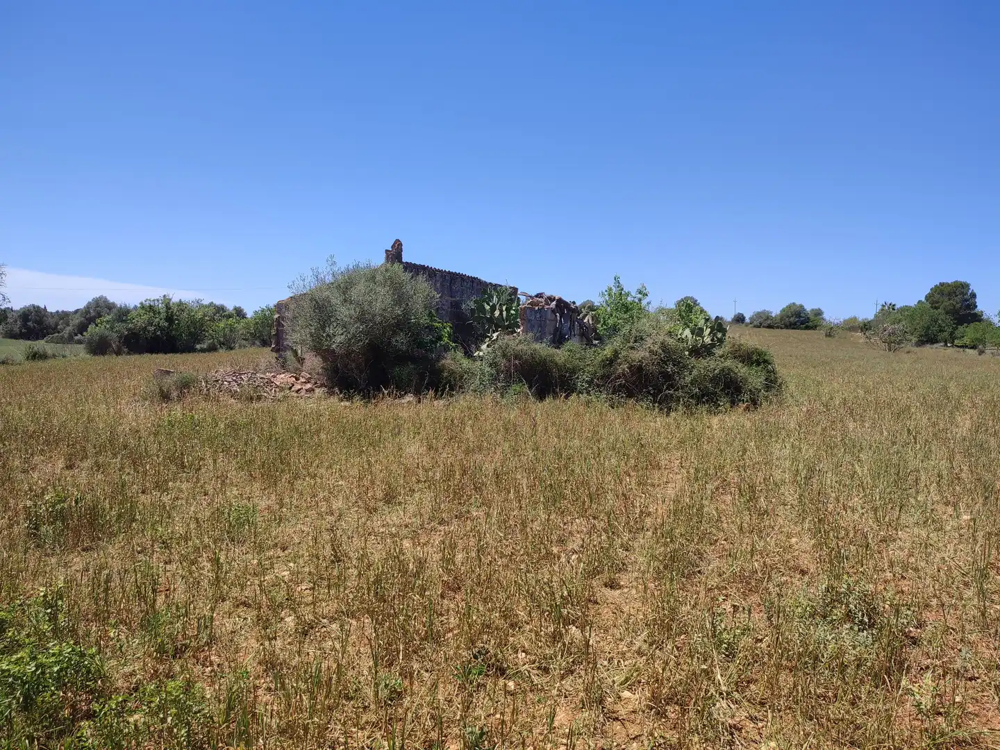 Rural land for sale in Vilafranca de Bonany, imagen 3